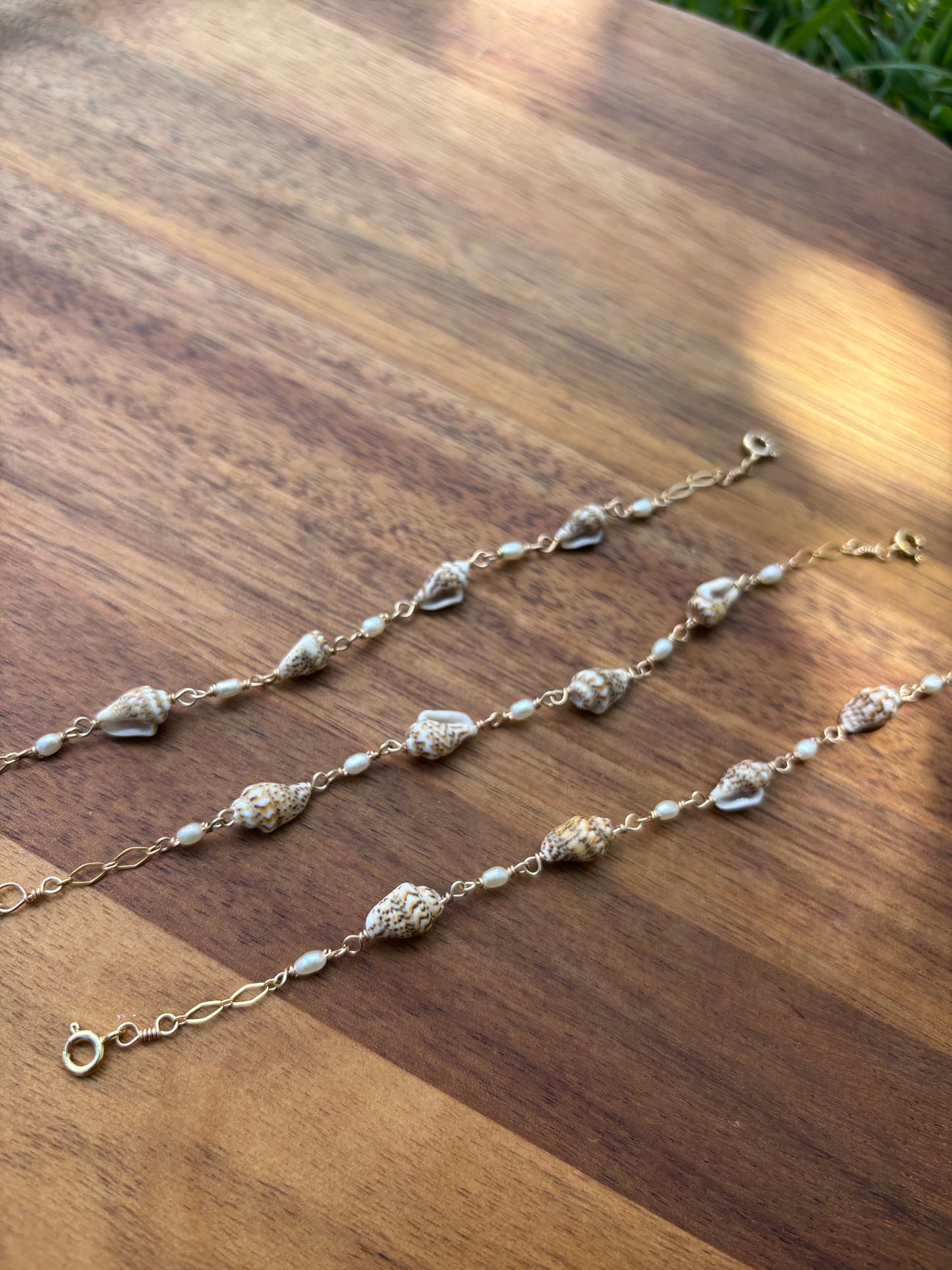 Nassa shell Bracelet