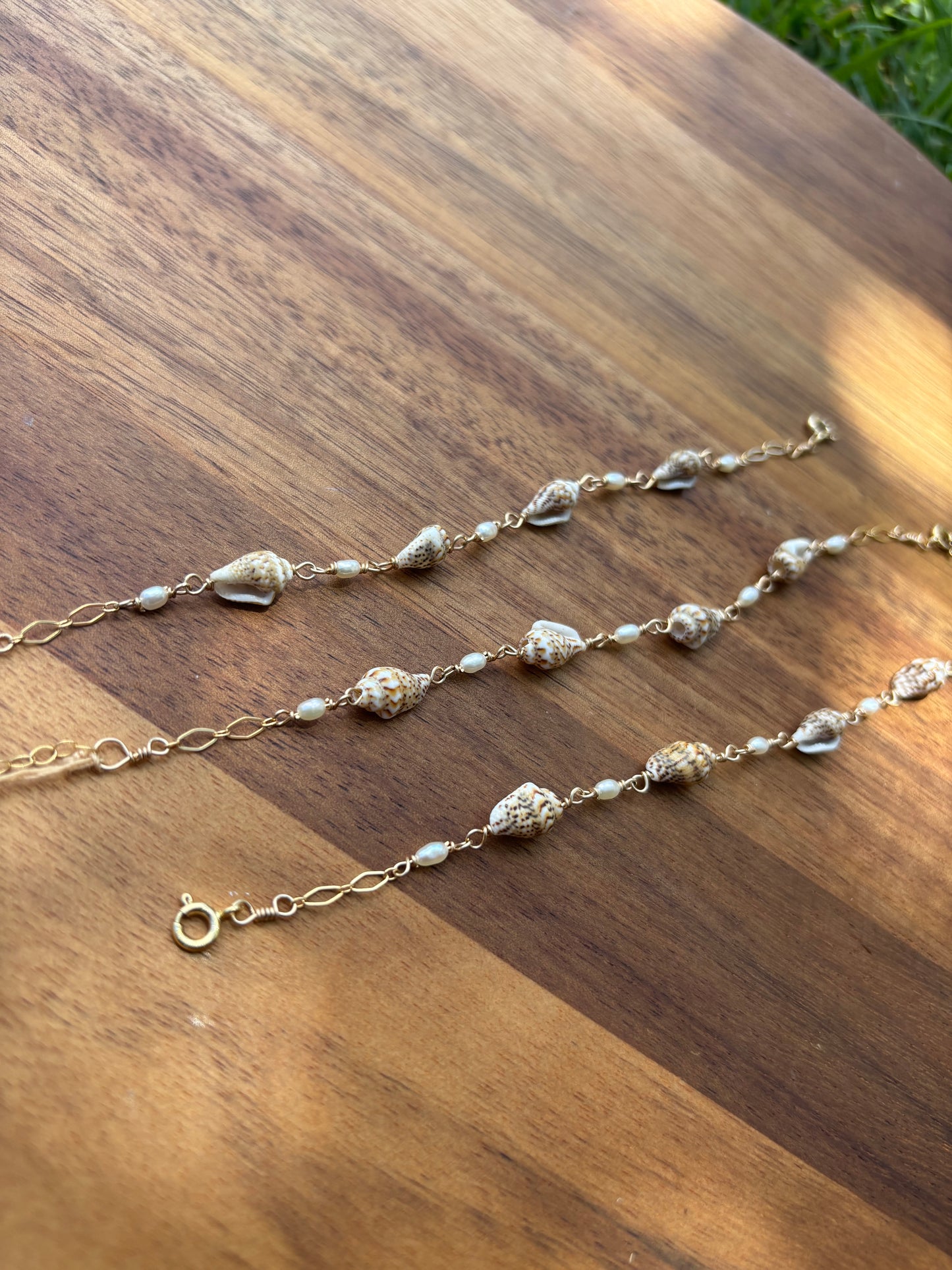 Nassa shell Bracelet