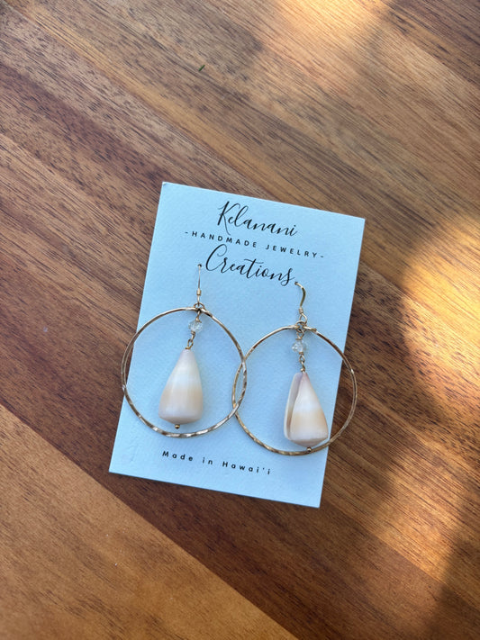 White cone shell earrings