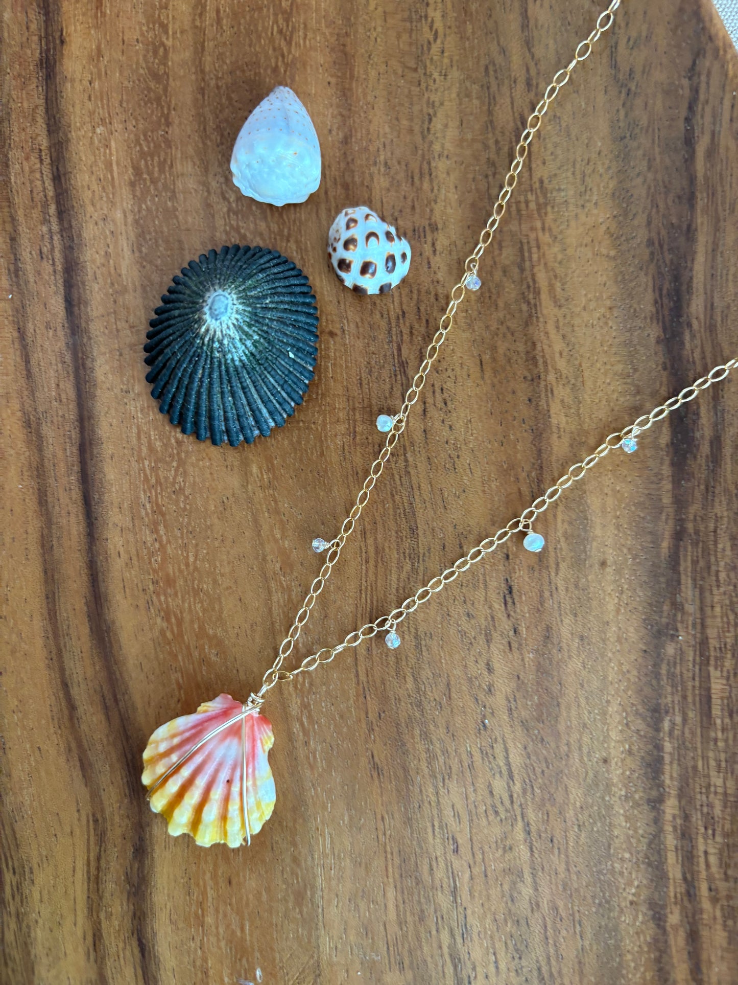 Charmed sunrise shell necklace