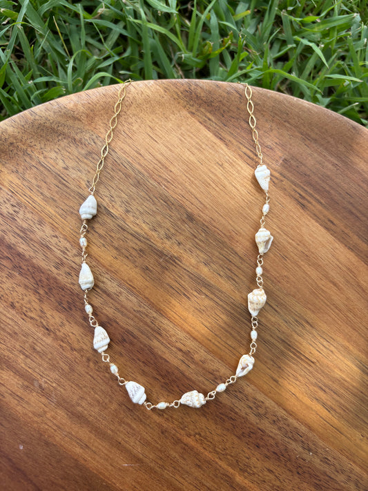 Nassa shell choker